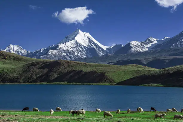 Chandartaal lake 